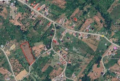 Teren de 5115 mp, în Bradu