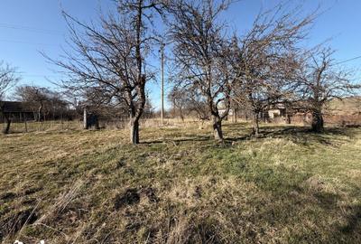 Casă cu 2 camere cu Teren 1605 Mp în Boroșneu Mare - 2