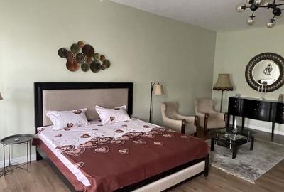 Apartament 2 camere de inchiriat ultracentral - 6