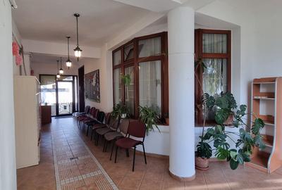 Vila - Parcul Carol - 13 Camere - Pretabil Gradinita - Autorizata Vila - Parcul Carol - 13 Camere - Pretabil Gradinita - Autorizata - 3