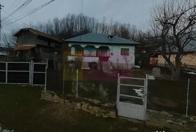 Casă cu 3 camere cu Teren 3410 Mp în Aluniș - 1