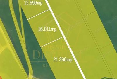 Teren intravilan 50.000mp | Sacalaz | Teren intravilan 50.000mp | Sacalaz | - 1