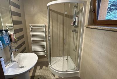 Proprietate cu piscina Dumbravita - 41