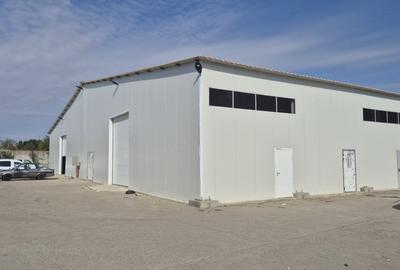 HALA | HALTA TRAIAN | SERVICE | DEPOZITARE - 6