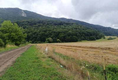 Teren Construcții intravilan de 16500 mp, în Bartolomeu - 1