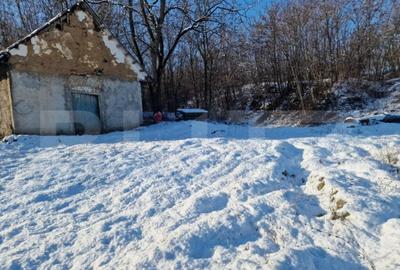 Teren intravilan 7.9 ha. Sandra - 16