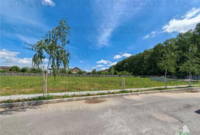 Teren de 4256 mp, în Corbeanca - 5