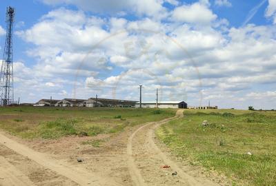 De Vanzare Ferma Piscolt Teren 64.000 mp- Piscolt SM - Comision 0% cumparator - 3