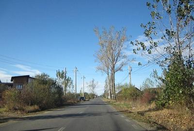 Teghes-Caragea Voda - 12