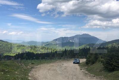 Teren de 5500 mp, în Central - 1