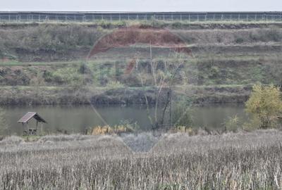 Teren extravilan de 129700 mp, în Iepurești - 10