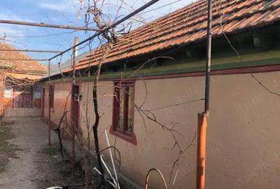 Casă cu 6 camere în Lumina - 3