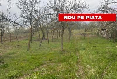 Teren intravilan 2.200 mp cu constructie existenta –Calinesti- Vranesti-Arges! - 1