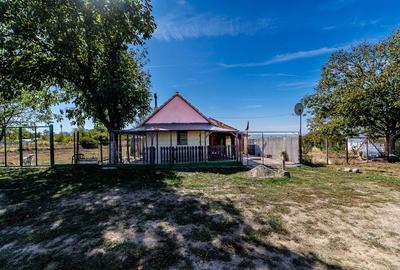 Casă cu teren generos și priveliște panoramică – Lipova - 2