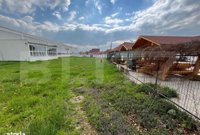 Spațiu comercial, de 8,000 mp, în Oncea - 7