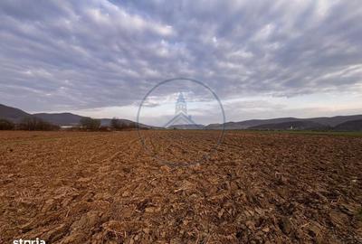 Teren de 2500 mp, în Șieu