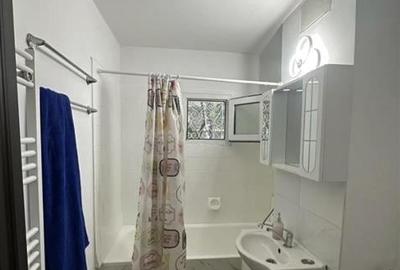 Inchiriere Apartament 2 Camere Decomandat Brancoveanu-Baltita - 3