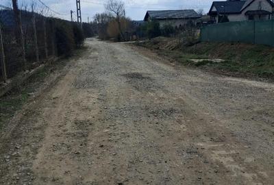Teren de 1350 mp, în Dorobanț - 6
