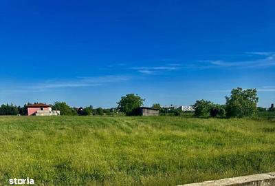 Spațiu comercial, în Balotești - 7