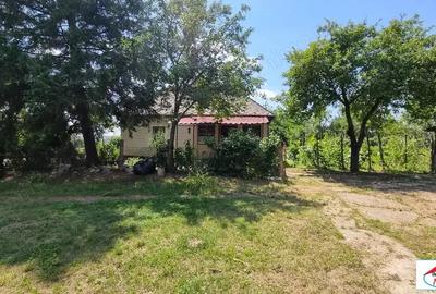 Casa cu teren in Viile Satu Mare - 4