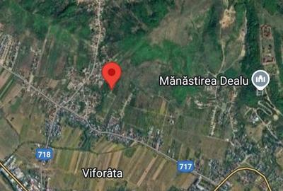 Spațiu comercial, în Viforâta