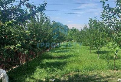 Spațiu comercial, în Titan