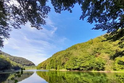 Spațiu comercial, în Cozia - 8