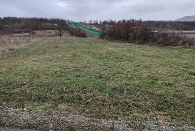 Teren de 5476 mp, în Arcani