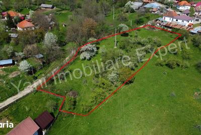 Teren de 2677 mp, în Valea Iașului - 10