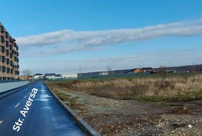 Vanzare teren intravilan Branesti - 9