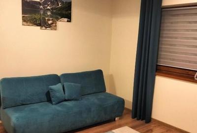 Apartament cu 2 camere de inchiriat zona Gorjului - 7