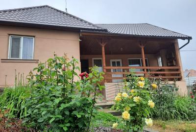 Comuna Augustin, casa deosebita, renovata integral, mobilata si utilata full!!! - 3