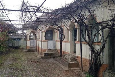 Casă cu 3 camere cu Teren 4000 Mp în Racovița - 8