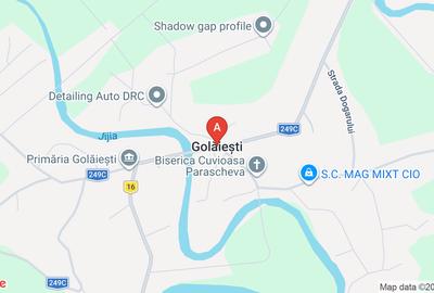 Teren agricol extravilan de 10000 mp, în Golăiești - 1