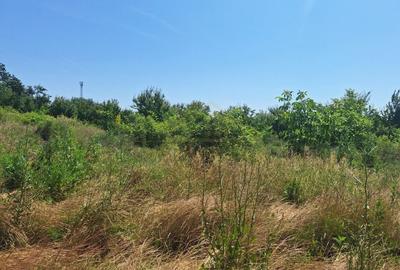 Teren Construcții intravilan de 748 mp, în Central - 2