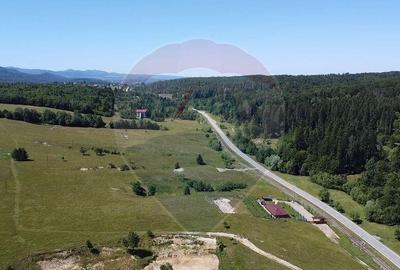 Teren 5,561mp Paltinoasa / Strada principala - 12