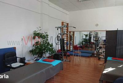 Spațiu comercial, de 2,000 mp, în Orțișoara - 2