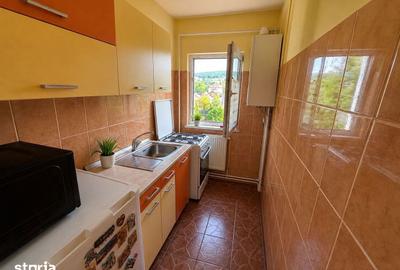 Apartament cu 2 camere semidecomandat în Tudor Vladimirescu - 4