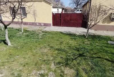 Casă cu 4 camere cu Teren 1300 Mp în Teremia Mare - 5