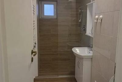 Inchiriere Apartament 2 Camere Decomandat Berceni-Secuilor - 5