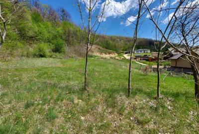 Casă cu 6 camere cu Teren 4345 Mp în Valea Ursului - 1