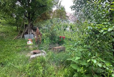 DE VANZARE - Cabana / casa vacanta in COAS - 9