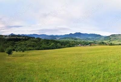 Teren de 4394 mp, în Bârsău - 3