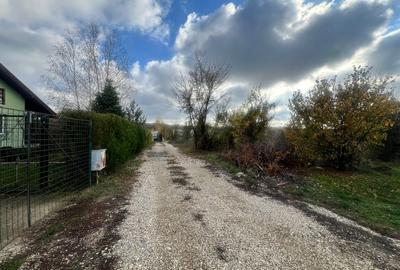 Teren 1000 mp intravilan Ciolpani-Piscu - 10