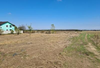 Teren de 1000 mp, în Copăceni - 5