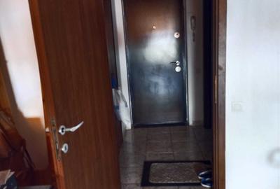 COLENTINA RAU BACILA  ANL- LANGA PARC, MC DONALDS - 3