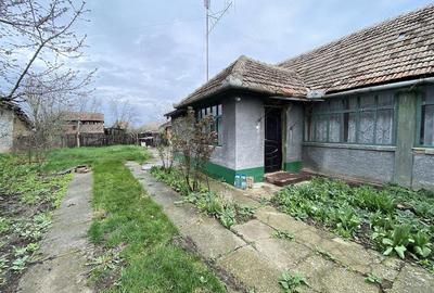 Casă cu Teren 2791 Mp în Sânmartinu Maghiar - 2
