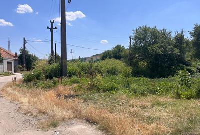 Investitie de viitor! Teren intravilan 8554 mp-Bucovat - 10