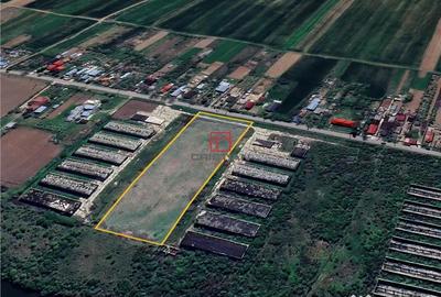 Teren de 10000 mp, în Butimanu - 4