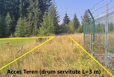 Teren de 6450 mp, în Neagra - 13